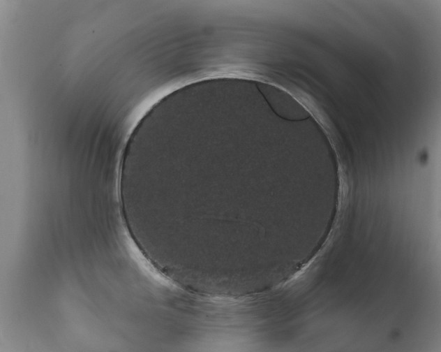 X0000112361246200908201456