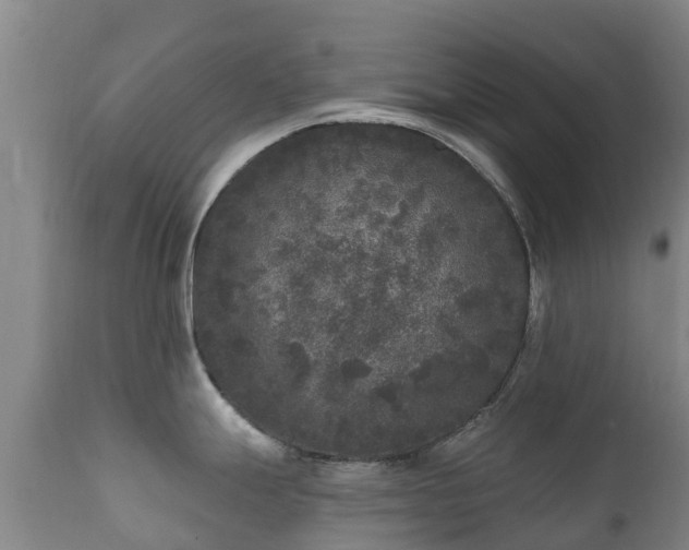 X0000112361247200908201456