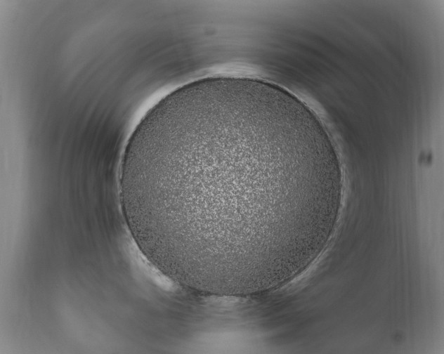 X0000112361248200908201456