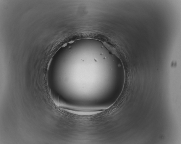 X0000112361249200908201455