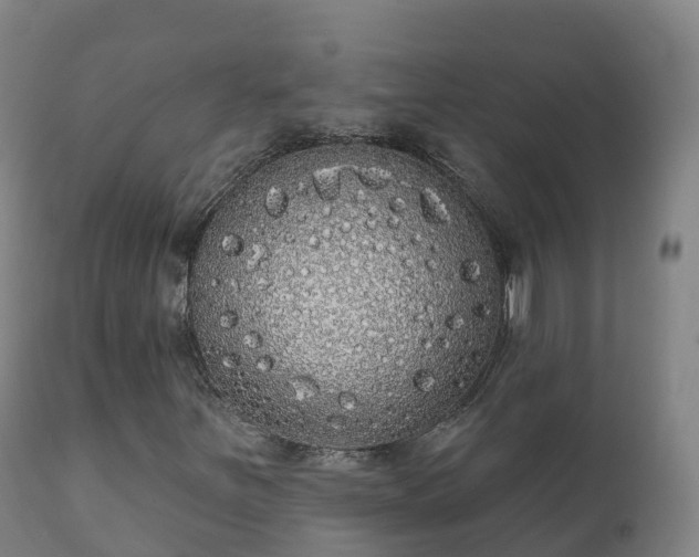 X0000112361251200908201455