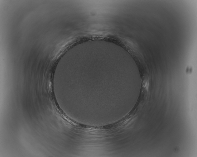 X0000112361252200908201455