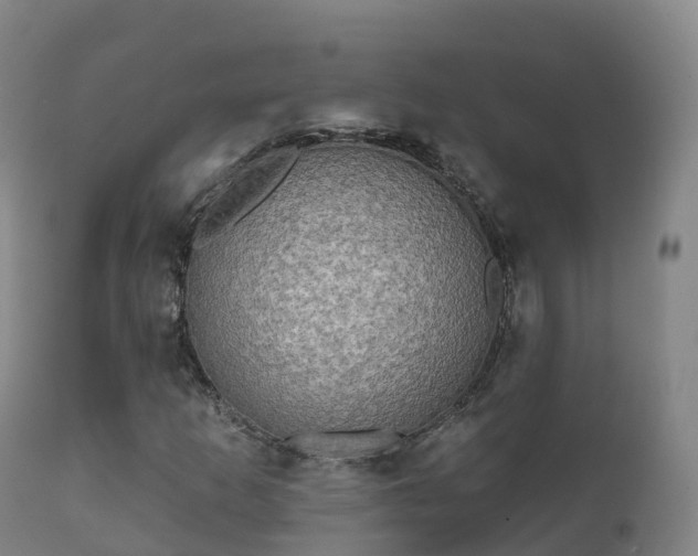 X0000112361253200908201455