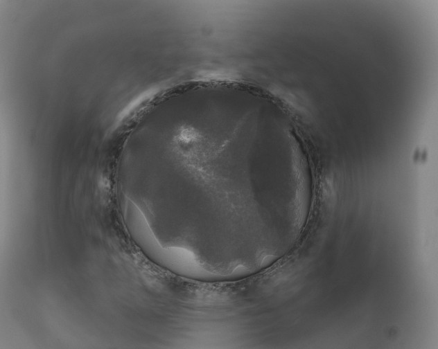 X0000112361254200908201455