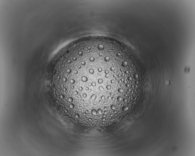 X0000112361255200908201455