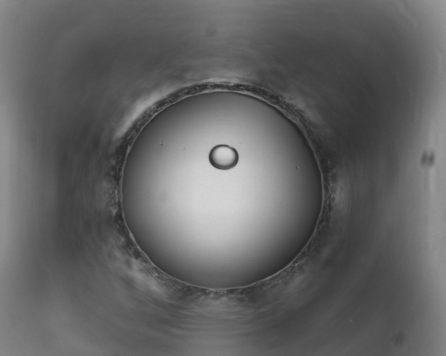 X0000112361256200908201455