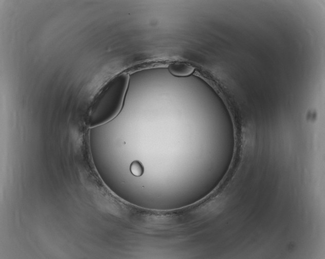 X0000112361257200908201455