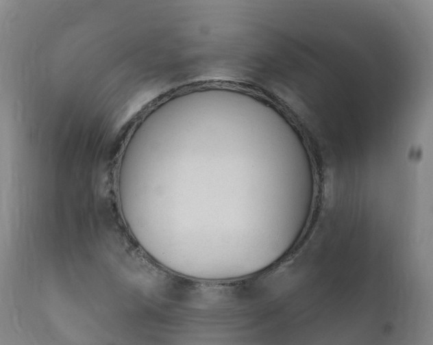 X0000112361258200908201455