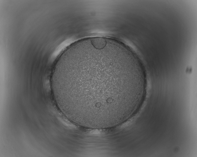 X0000112361259200908201455