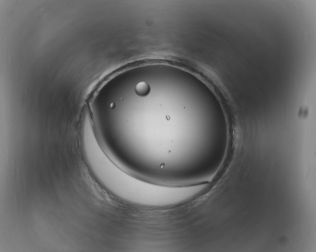 X0000112361260200908201455