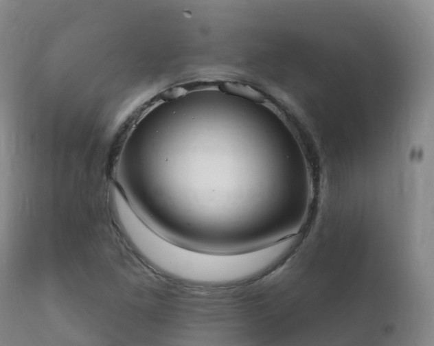 X0000112361261200908201455