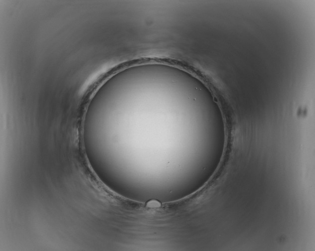 X0000112361262200908201455