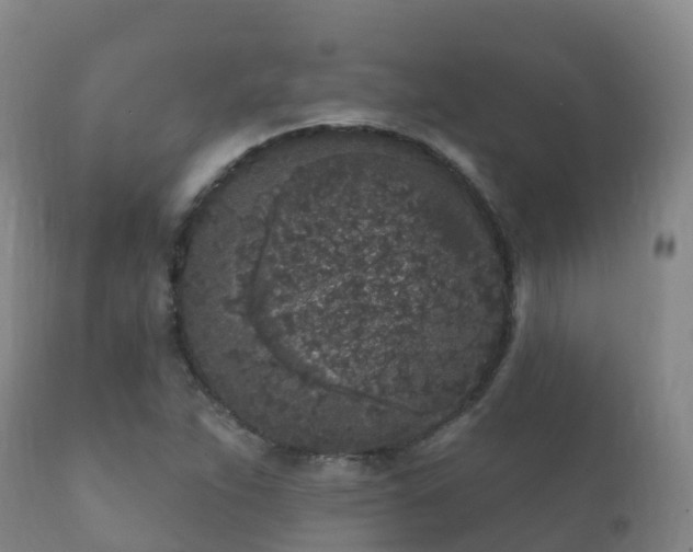 X0000112361263200908201455