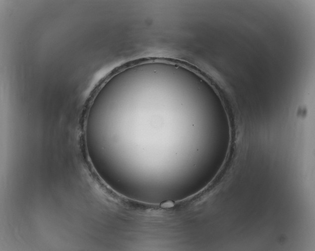 X0000112361264200908201455