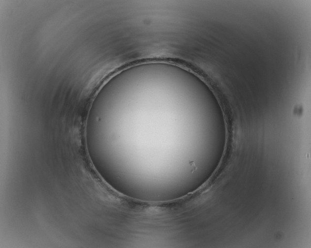 X0000112361265200908201455