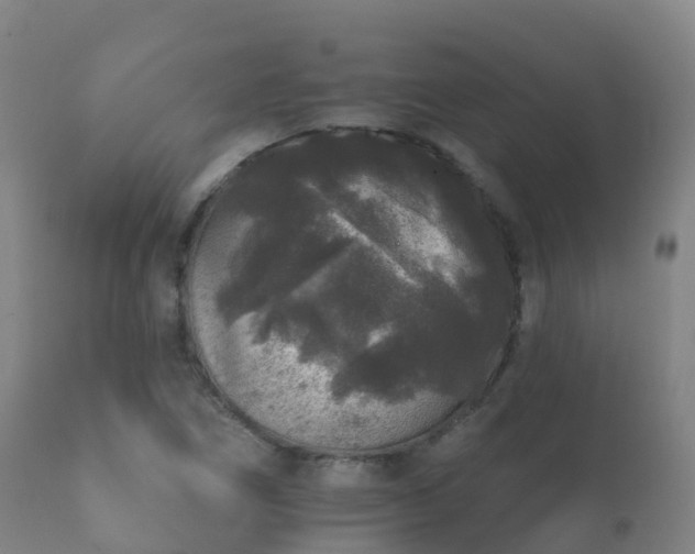 X0000112361266200908201455