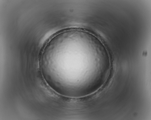 X0000112361267200908201455