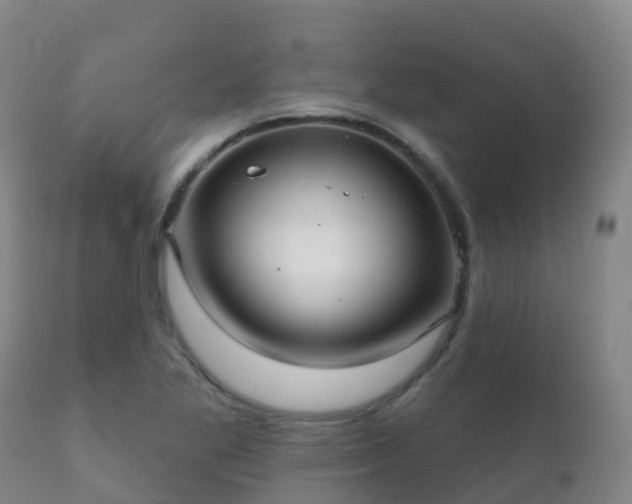 X0000112361269200908201455