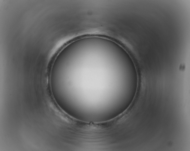 X0000112361270200908201455