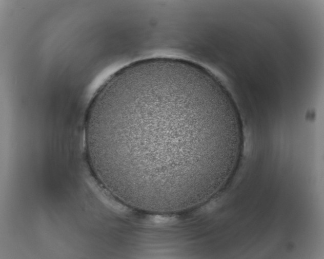 X0000112361271200908201455