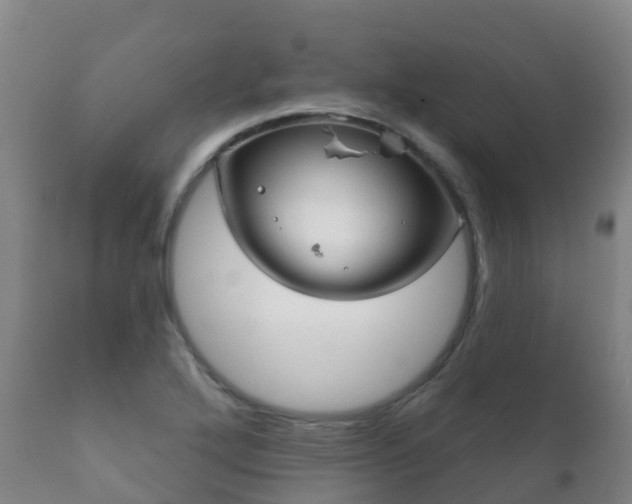 X0000112361272200908201455