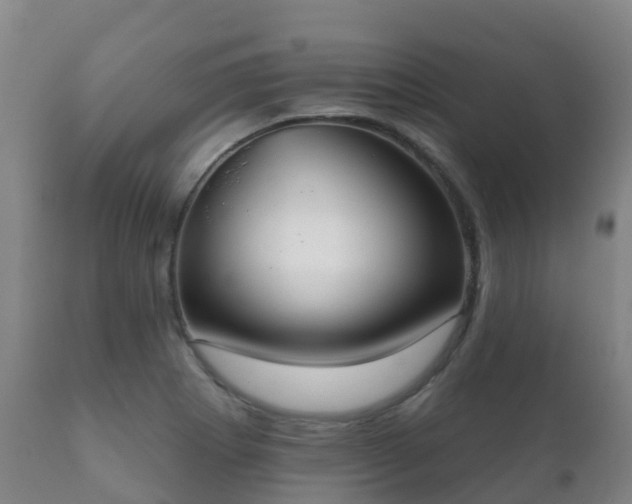 X0000112361273200908201455