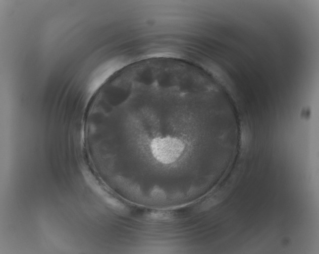 X0000112361274200908201455