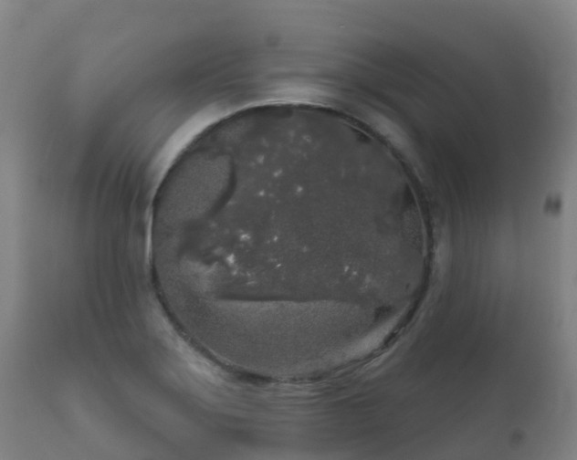 X0000112361275200908201455