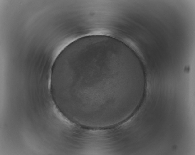 X0000112361276200908201455