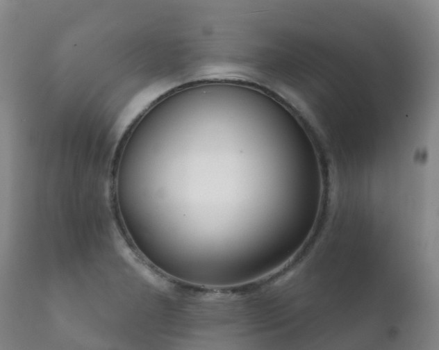 X0000112361277200908201455