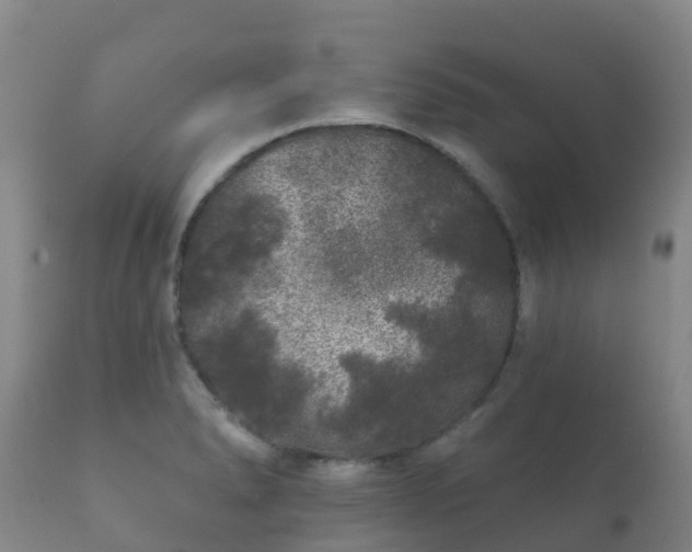 X0000112361278200908201455