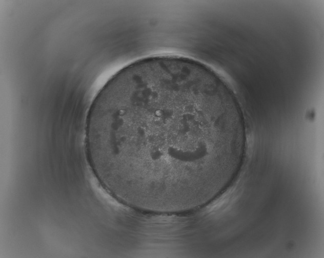 X0000112361279200908201454