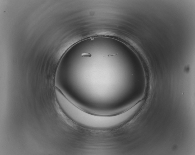 X0000112361281200908201454