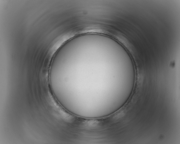 X0000112361282200908201454