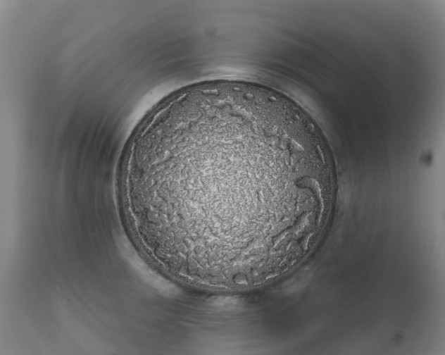 X0000112361283200908201454