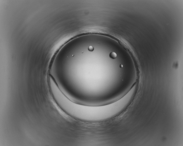 X0000112361285200908201454