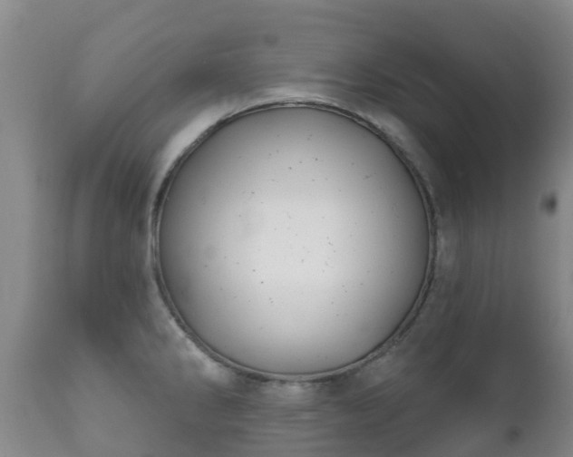 X0000112361286200908201454