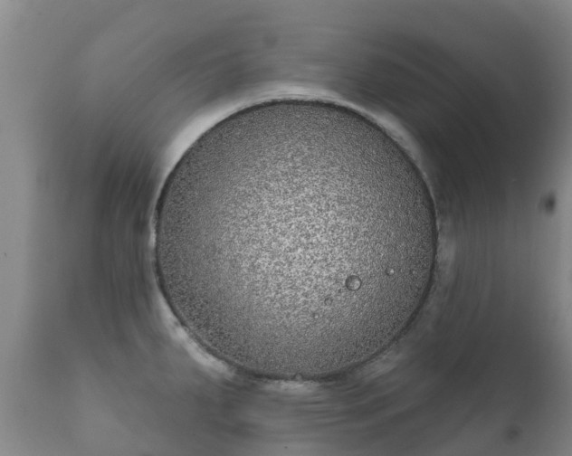 X0000112361287200908201454