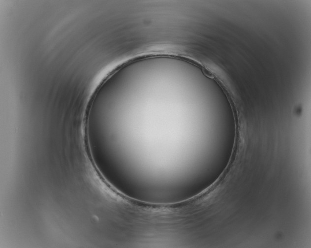 X0000112361288200908201454