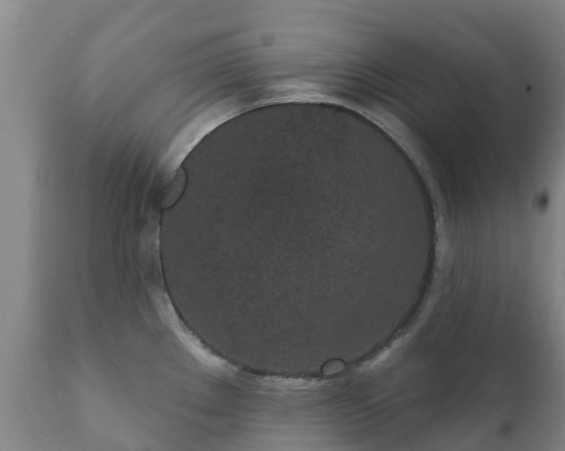 X0000112361289200908201454