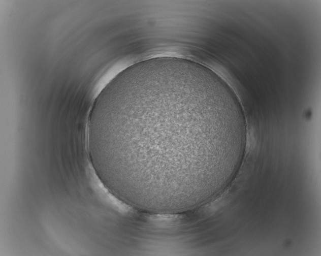 X0000112361290200908201454