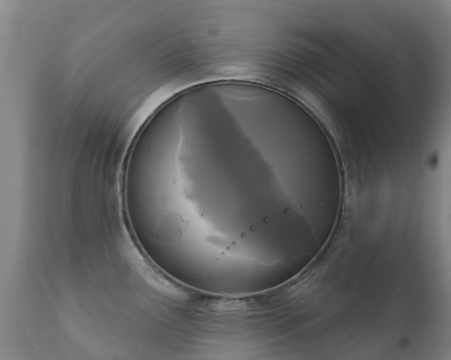 X0000112361291200908201454