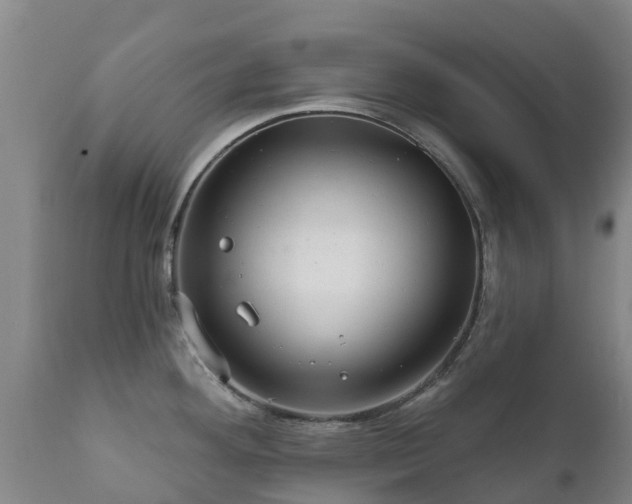 X0000112361292200908201454