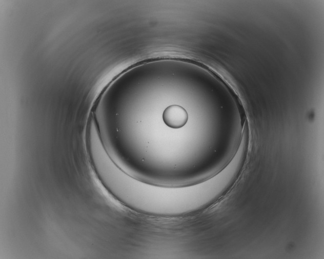 X0000112361293200908201454