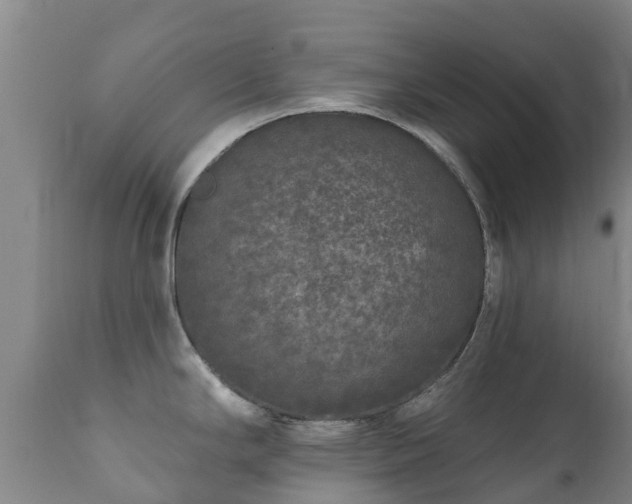 X0000112361294200908201454