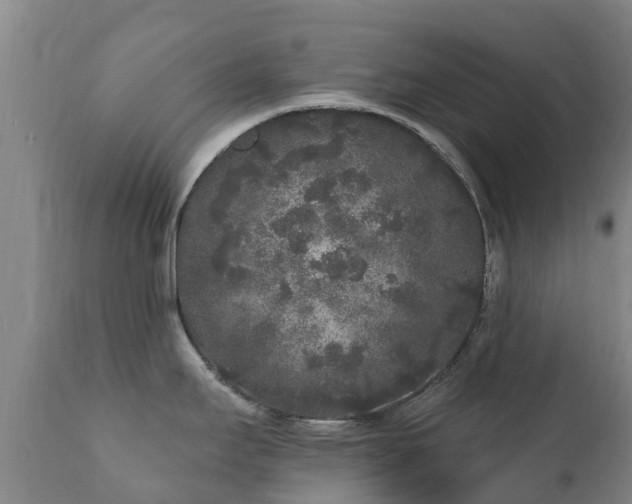 X0000112361295200908201454