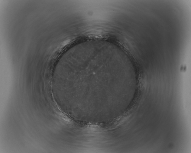 X0000112361297200908201454