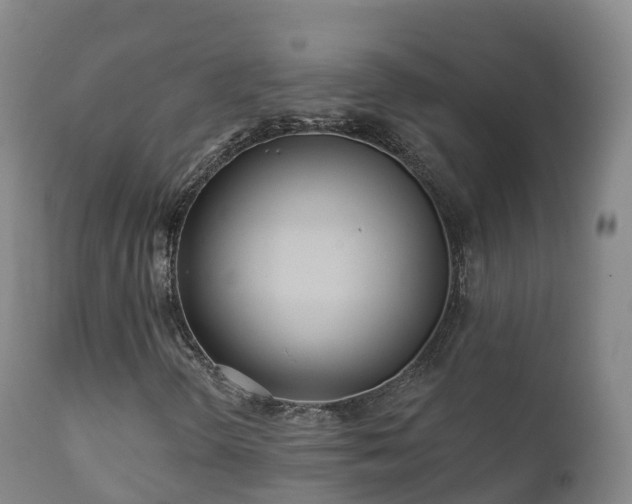 X0000112361298200908201454