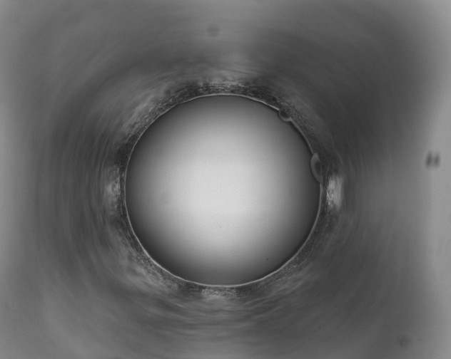 X0000112361299200908201454