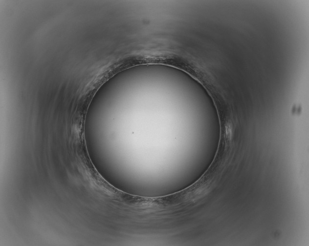 X0000112361300200908201454